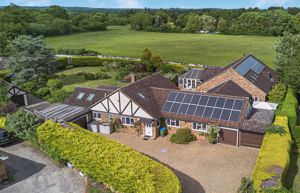 Photo 41- click for photo gallery